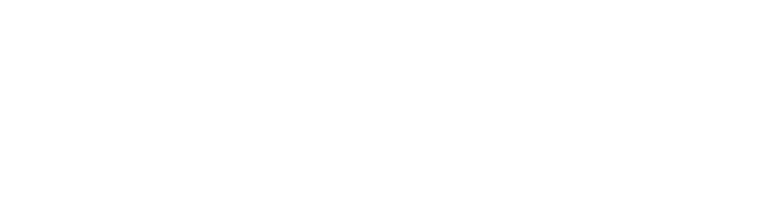 Logo Orleix